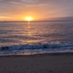 PXL_20221121_073050188